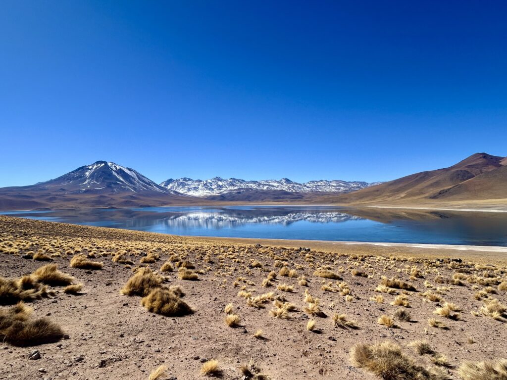 Laguna Miscanti