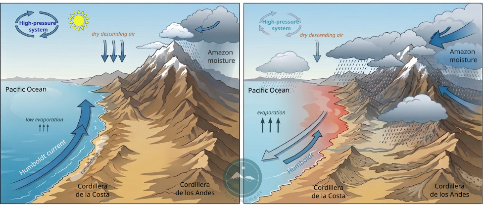 Schema comparativo delle condizioni climatiche dell’Atacama in condizioni normali e durante un evento di El Niño.